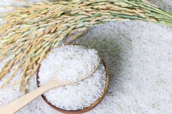 Ilustrasi zakat berupa beras sesuai makanan pokok. (Foto: Istimewa)