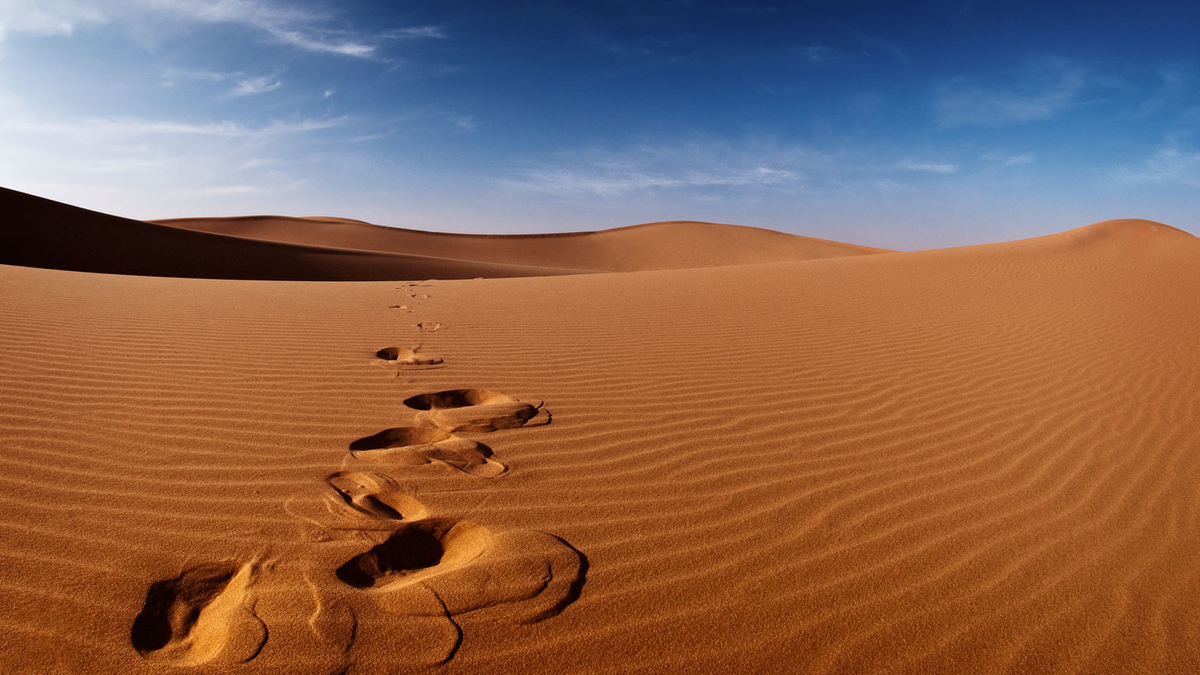 Ilustrasi latar padang pasir. (Foto: Istimewa)
